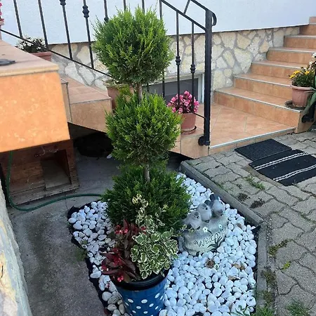 Apartman Rege *