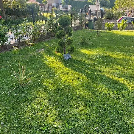 Rege Apartman