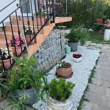 Rege Apartment Alsoors