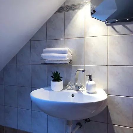 Apartman Rege *