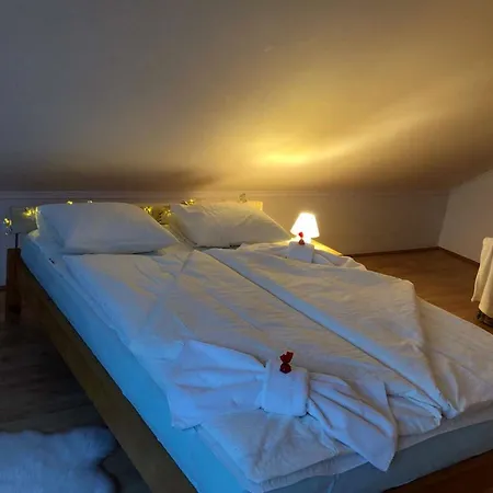 Apartment Rege *