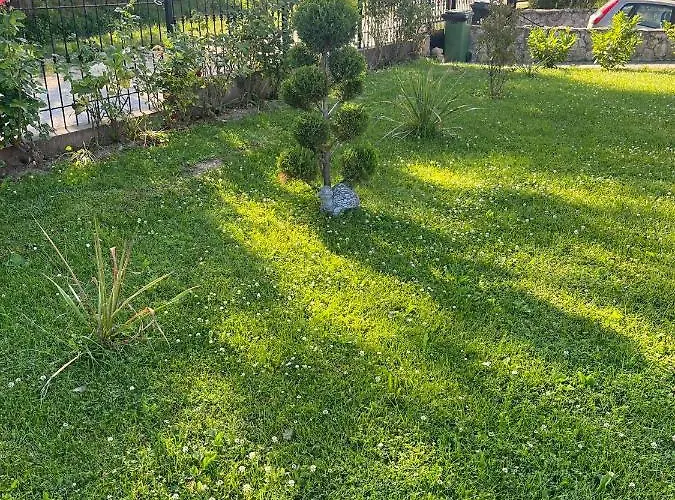 Rege Διαμέρισμα